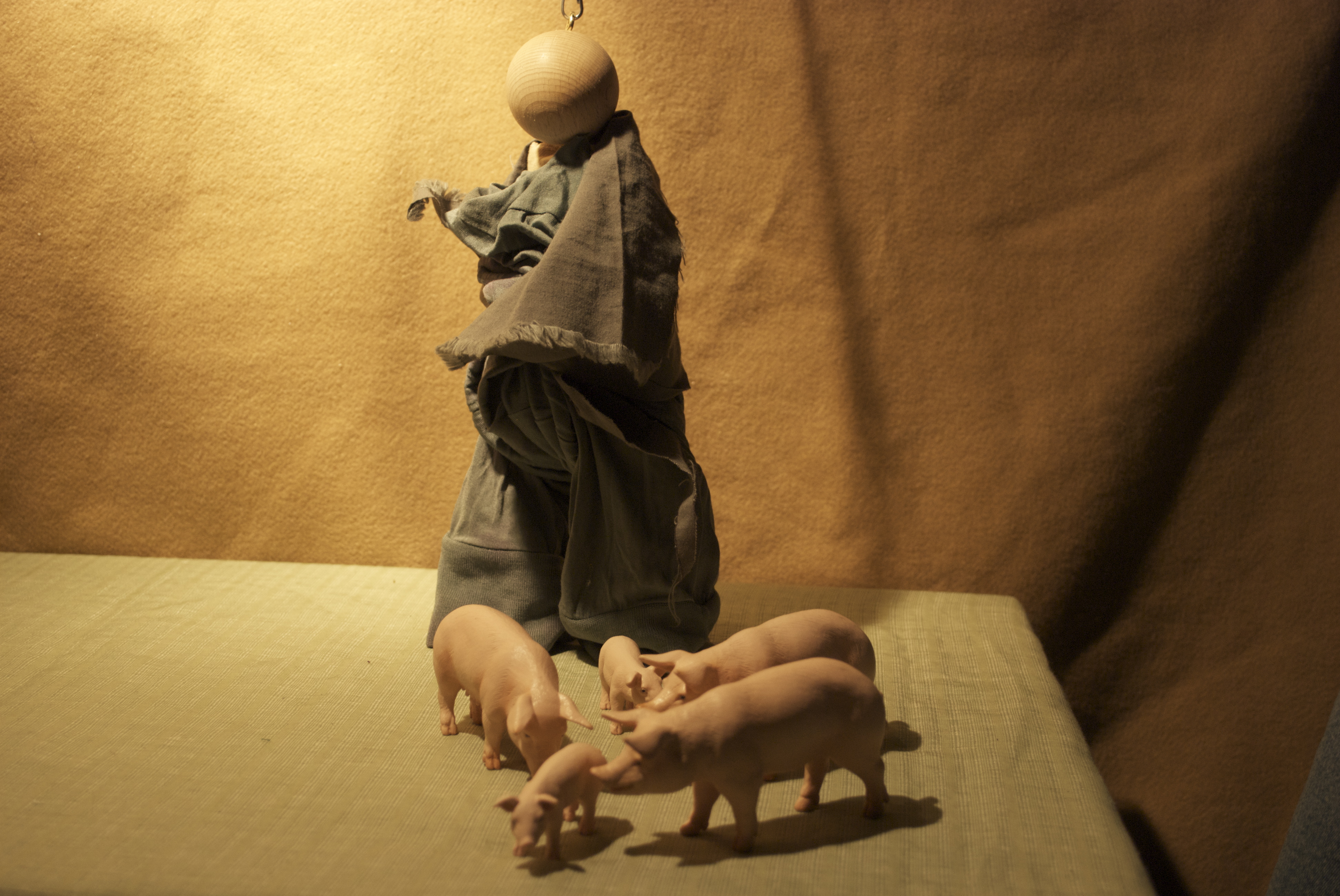 prodigal with the swine